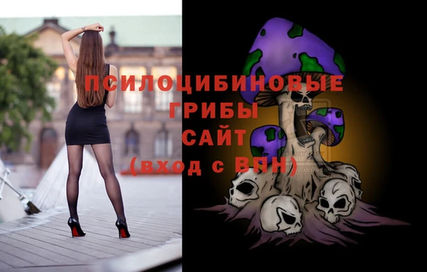 ECSTASY Балахна