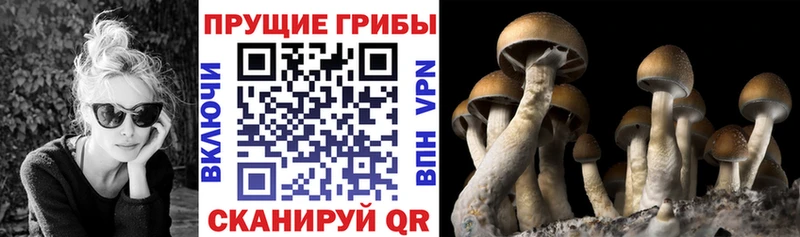 Галлюциногенные грибы Magic Shrooms kraken зеркало Реутов