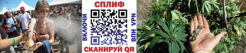 Конопля планчик цены наркотик МЕГА ССЫЛКА Реутов